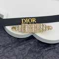 Dior CD Brooch 172872